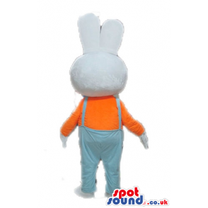 White rabbit with small liht-blue eyes wearing an orange