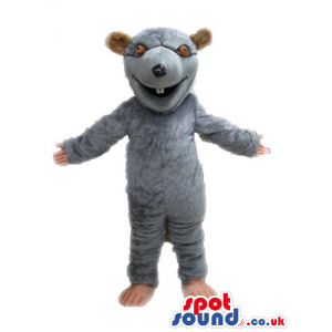 Grey bear with round brown eyes, beige hands and beige feet -