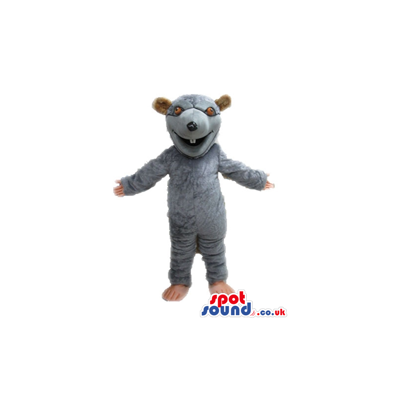 Grey bear with round brown eyes, beige hands and beige feet -