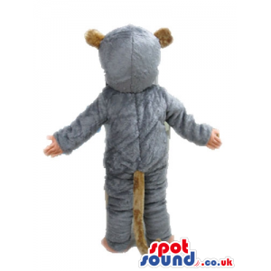 Grey bear with round brown eyes, beige hands and beige feet -