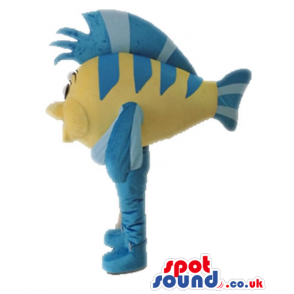 Blue and yellow fish with a big yellow face and big eyes -