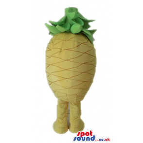 Yellow smiling pineapple with big round eyes, yellow arms and