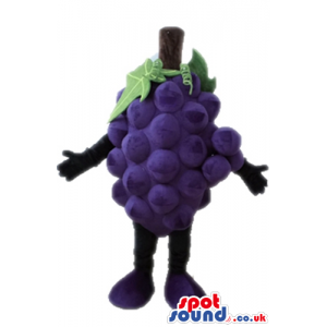 Purple bunch of grapes - your mascot in a box! - Custom Mascots