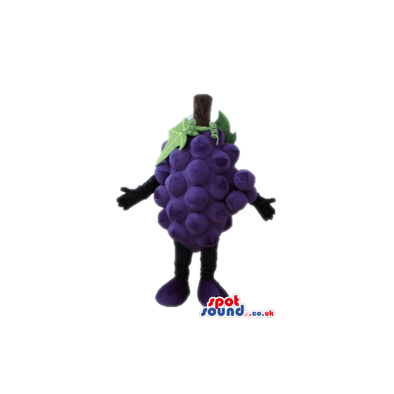 Purple bunch of grapes - your mascot in a box! - Custom Mascots