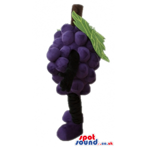 Purple bunch of grapes - your mascot in a box! - Custom Mascots