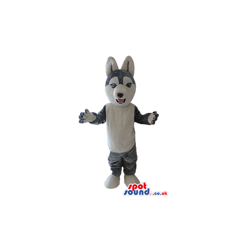 Grey fox - your mascot in a box! - Custom Mascots