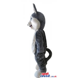 Grey fox - your mascot in a box! - Custom Mascots