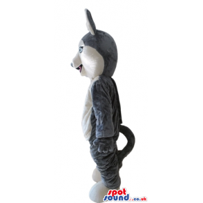 Grey fox - your mascot in a box! - Custom Mascots