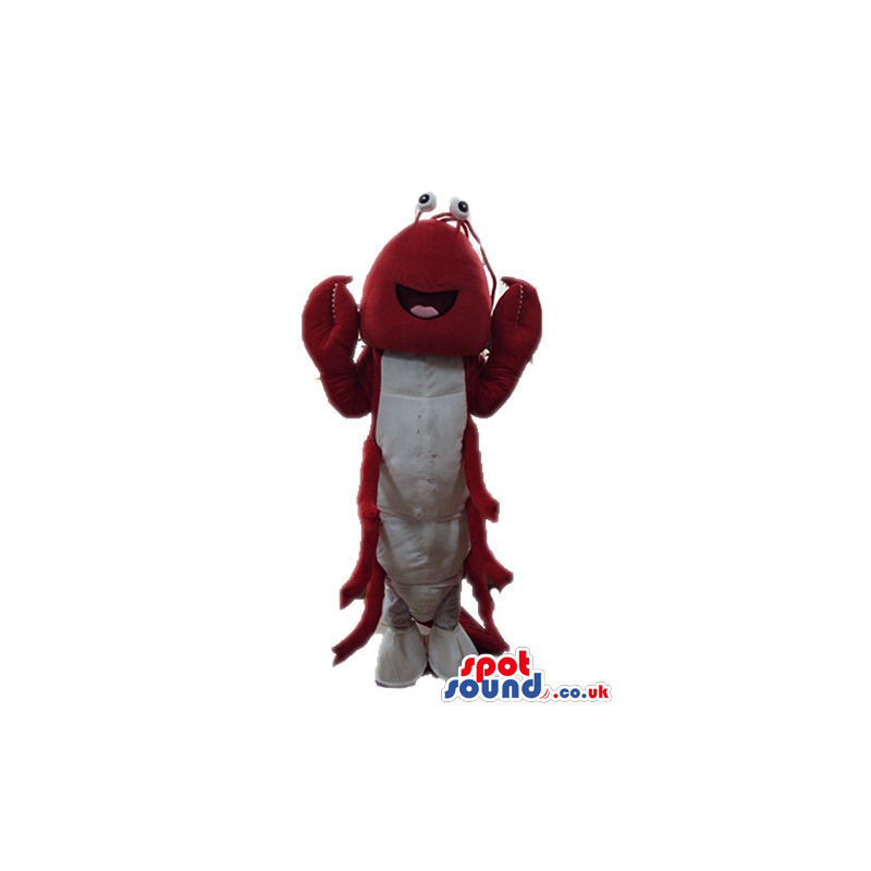 Red shrimp with round eyes and white feet - Custom Mascots