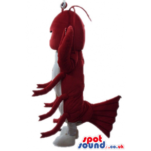 Red shrimp with round eyes and white feet - Custom Mascots