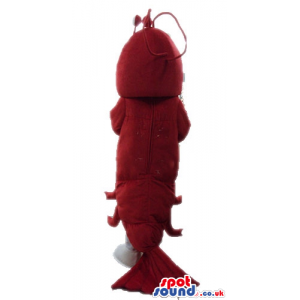 Red shrimp with round eyes and white feet - Custom Mascots