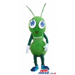 Green bug with big round blue eyes - Custom Mascots