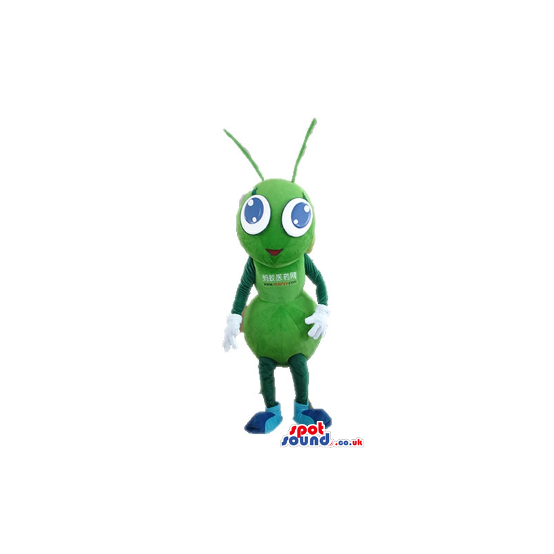 Green bug with big round blue eyes - Custom Mascots