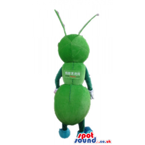 Green bug with big round blue eyes - Custom Mascots