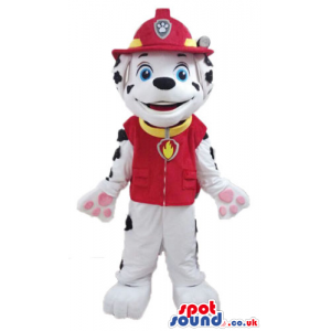 Dalmata dog dressed as a fireman - Custom Mascots