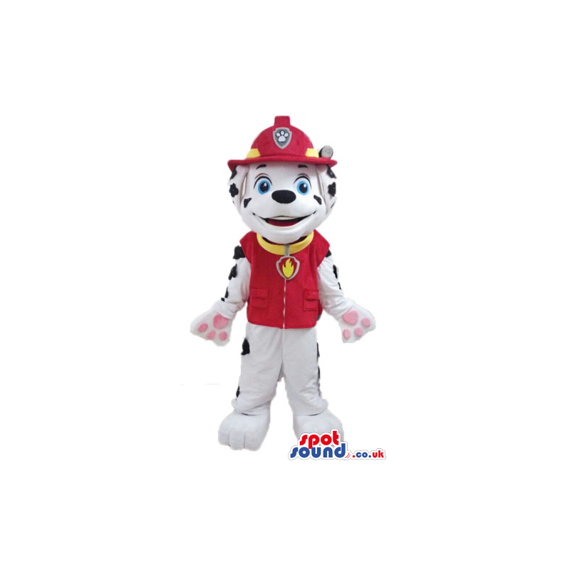 Dalmata dog dressed as a fireman - Custom Mascots