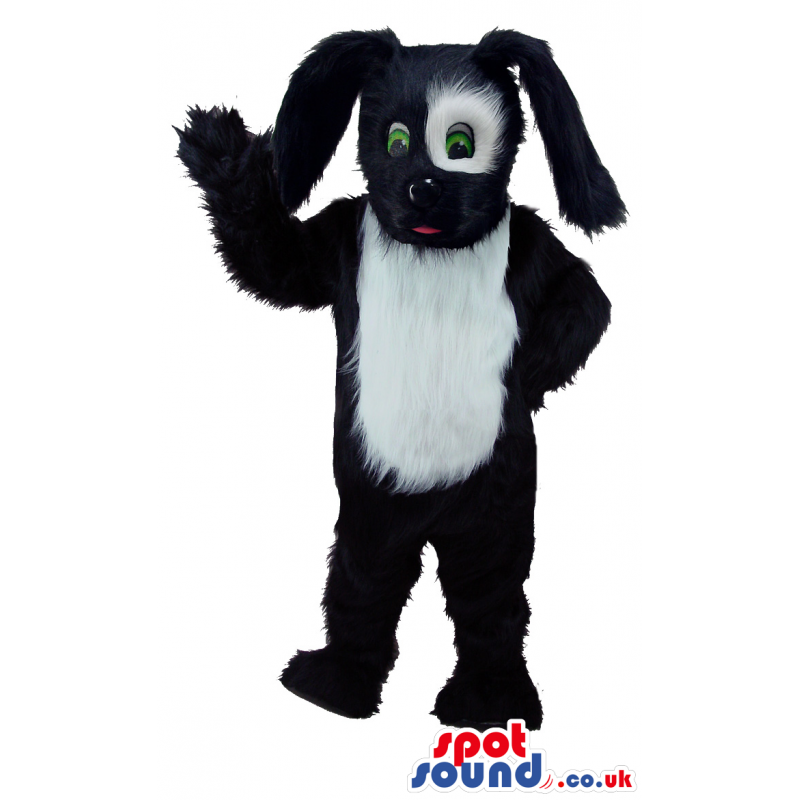 Black And White Dog Animal Mascot With White Spot Around Eye -