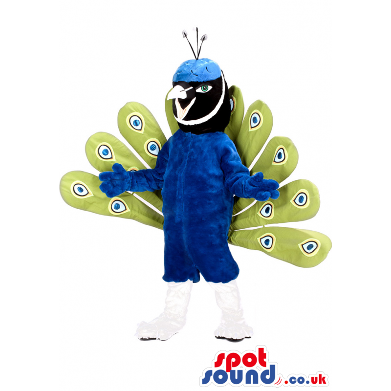 Peacock Bird Mascot With Amazing Feathers And Blue Body -