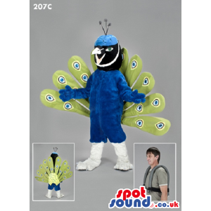 Peacock Bird Mascot With Amazing Feathers And Blue Body -