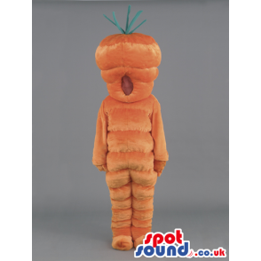 Plain Orange Carrot Vegetable Mascot With No Face - Custom