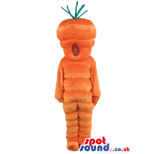 Plain Orange Carrot Vegetable Mascot With No Face - Custom