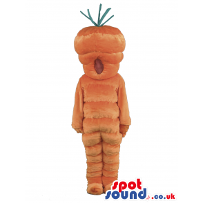 Plain Orange Carrot Vegetable Mascot With No Face - Custom