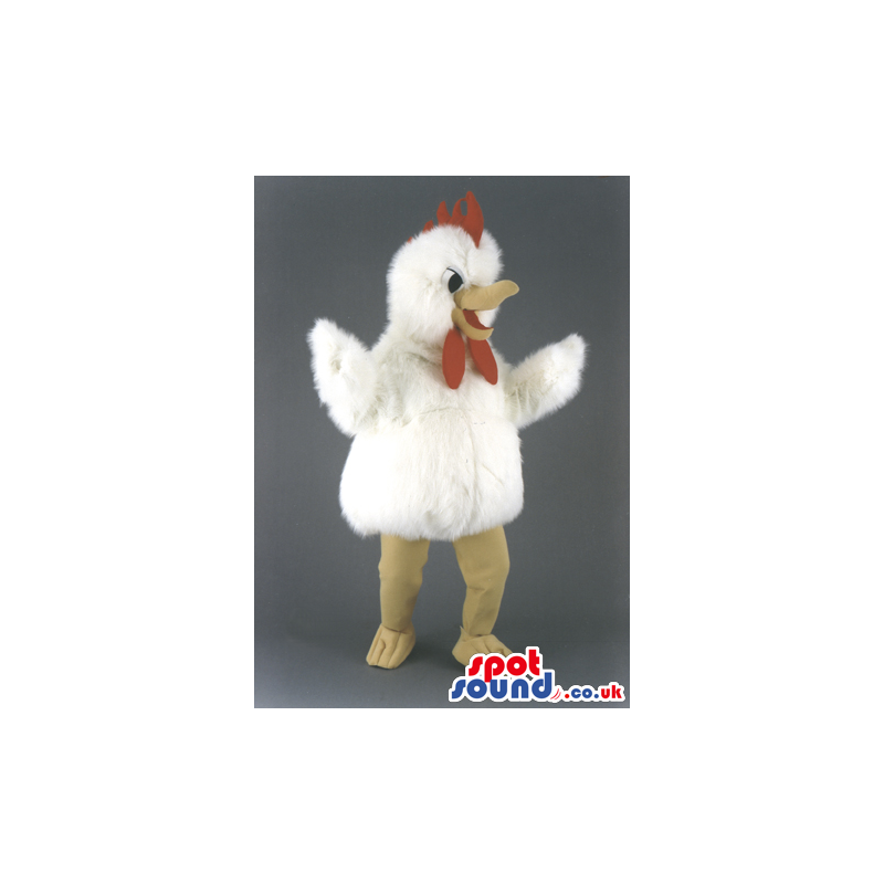 Plain White Hen Chicken Mascot With Yellow Beak And Red Comb -