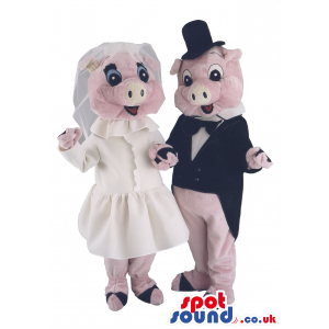 Pig Animal Couple Mascots With White Bride And Groom Garments -