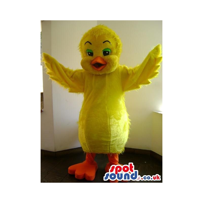 Tweedy bird mascot with his wings open and happy as always -