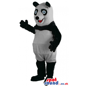 Black And White Panda Bear Animal Mascot With Blue Eyes -