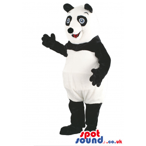 Black And White Panda Bear Animal Mascot With Blue Eyes -