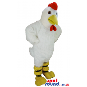 Customizable White Chicken Animal Mascot With Red Comb - Custom
