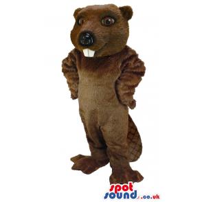 Brown mongoose with protruding teeth and typical tail - Custom