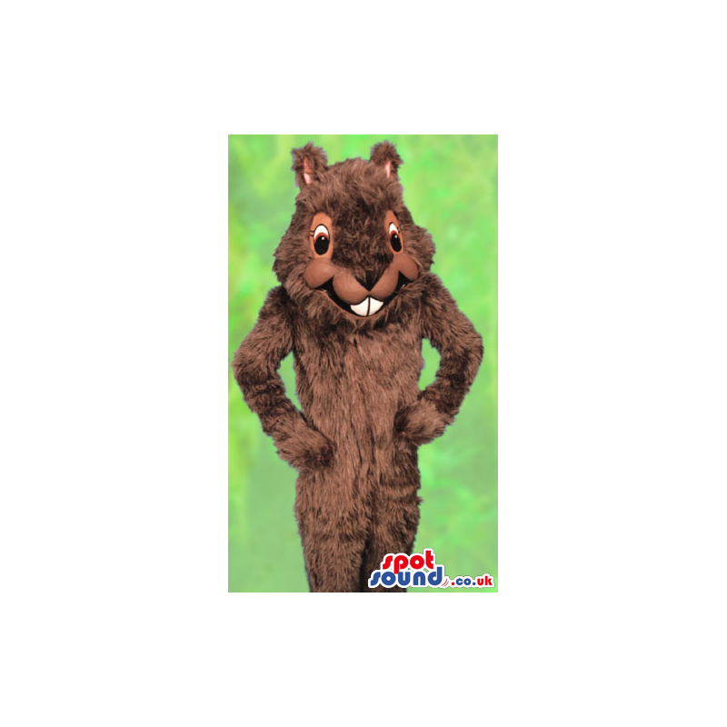 Customizable Brown Squirrel Forest Park Animal Mascot - Custom