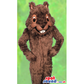 Customizable Brown Squirrel Forest Park Animal Mascot - Custom