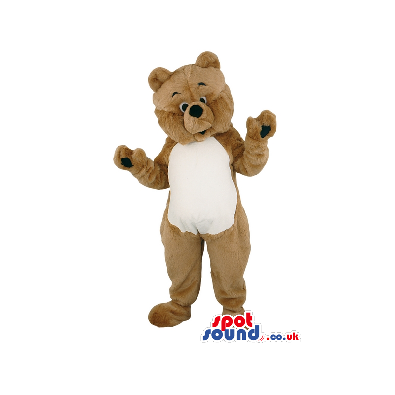 Customizable Plain Brown Bear With White Belly And Small Eyes -