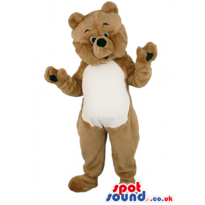 Customizable Plain Brown Bear With White Belly And Small Eyes -