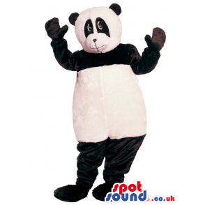 Black And White Panda Bear Animal Mascot Character - Custom