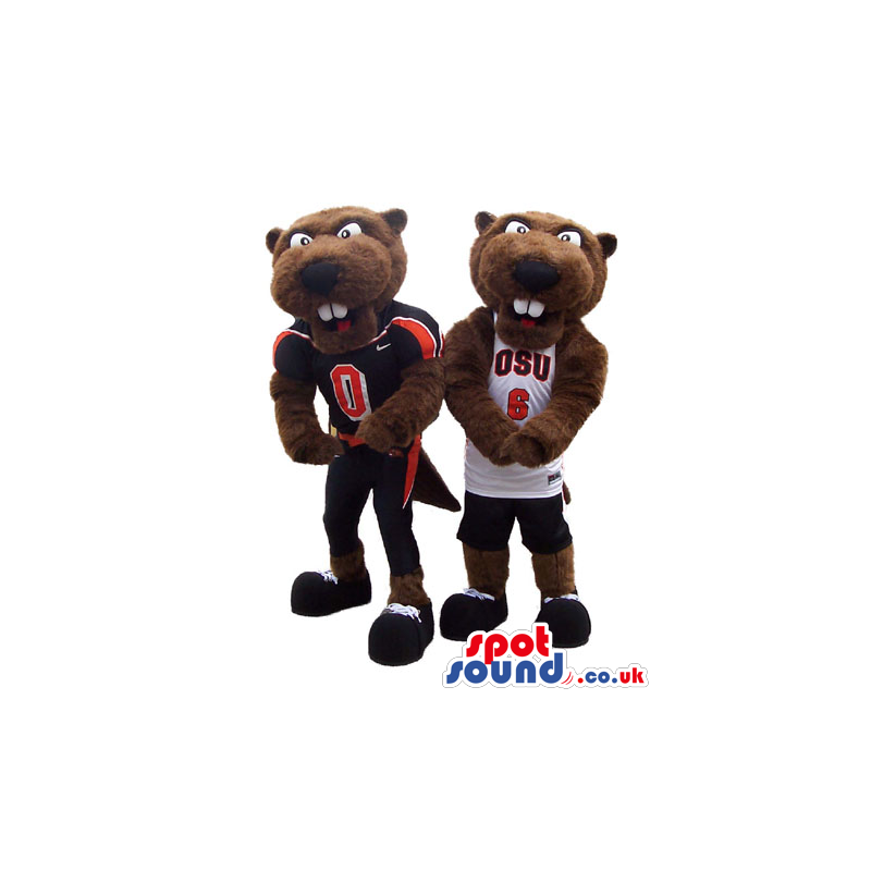 Two Customizable Dark Brown Beaver Mascots With Sports Clothes