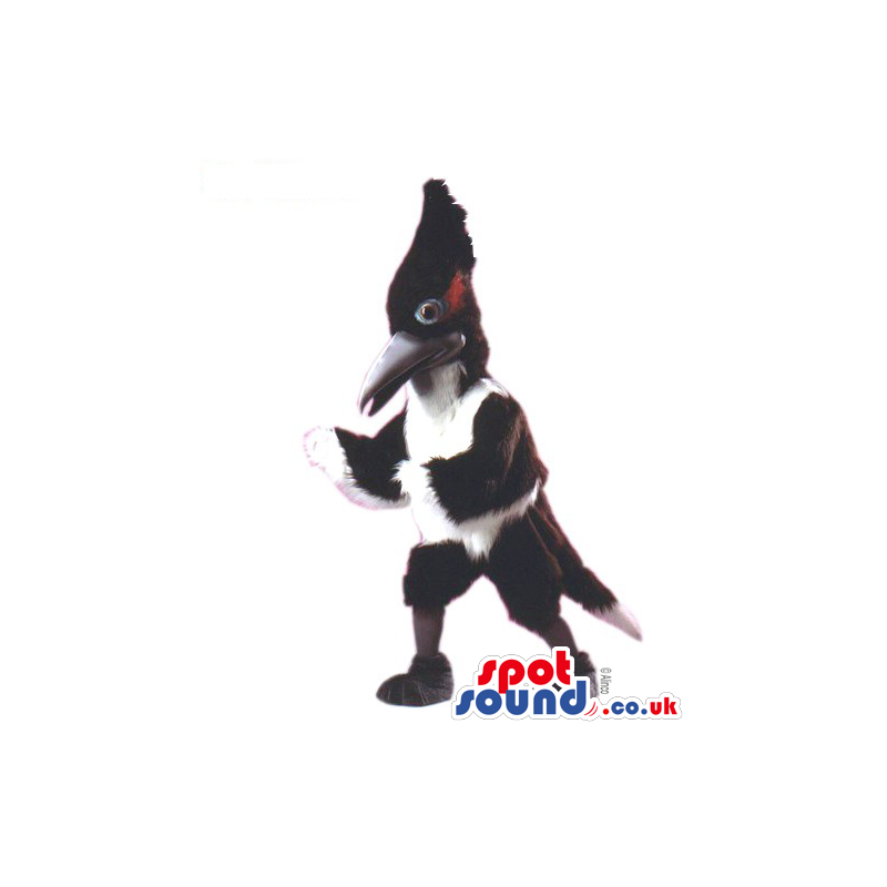 Customizable White And Black Bird Mascot With A Red Touch -