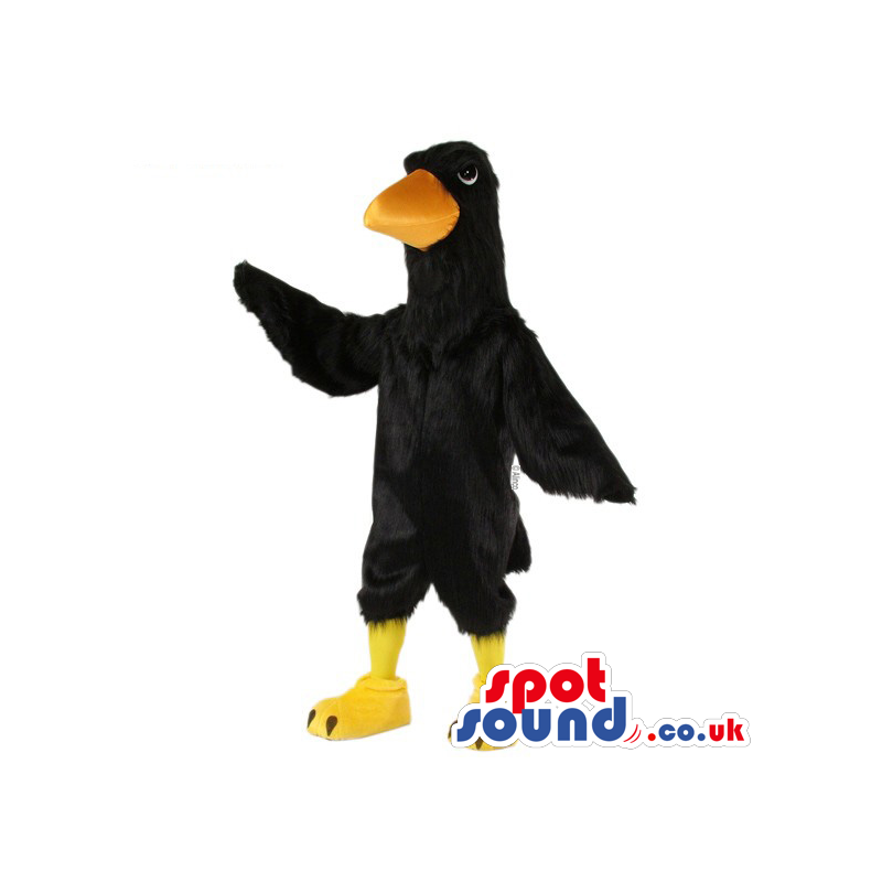 Customizable And Plain Black Bird With Yellow Beak - Custom