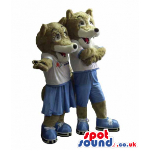 Couple Of Grey Fox Mascots Wearing Sport Clothes And Ice Skates