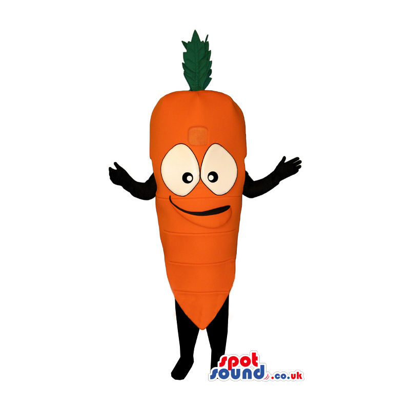 Plain Orange Carrot Vegetable Mascot With Big Eyes And Smile -
