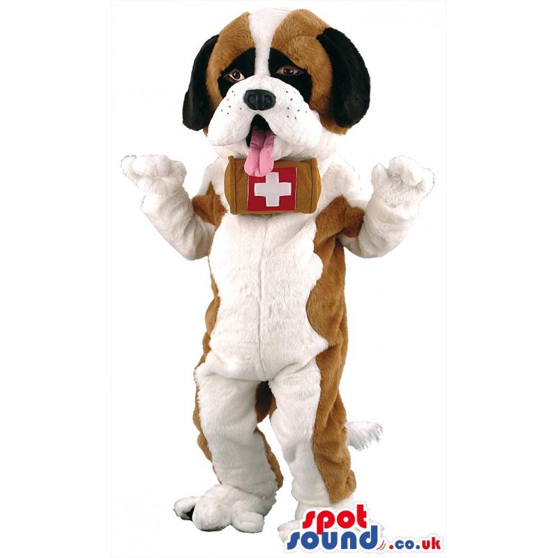 White brown dog mascot caries first aid box on his neck. -