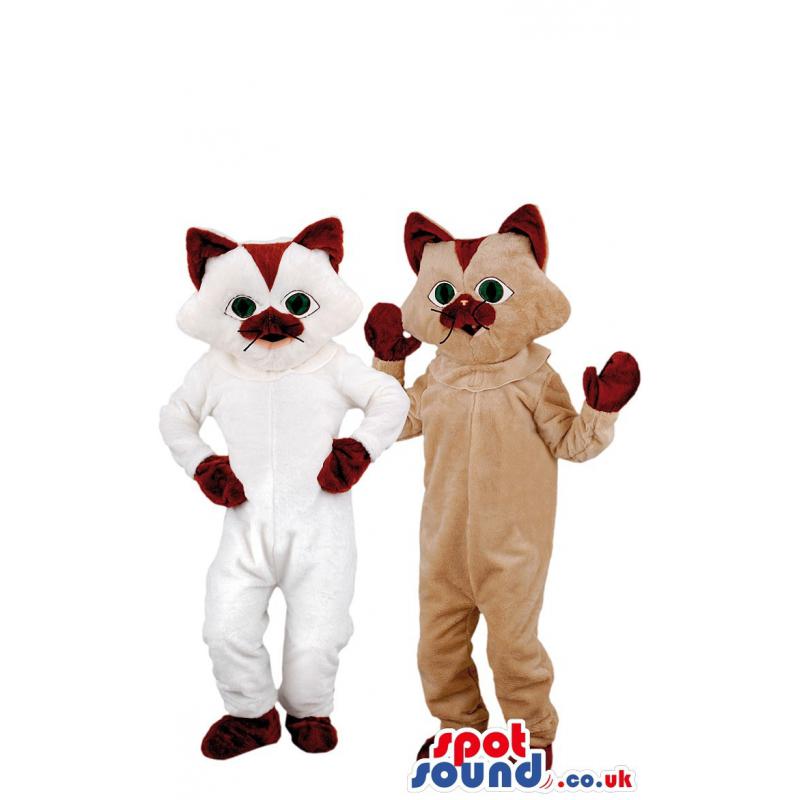 Two white and brown cat mascot with his hands in his waist -