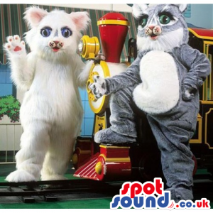 Two Cat Animal Mascots In White And Grey With Blue Eyes -