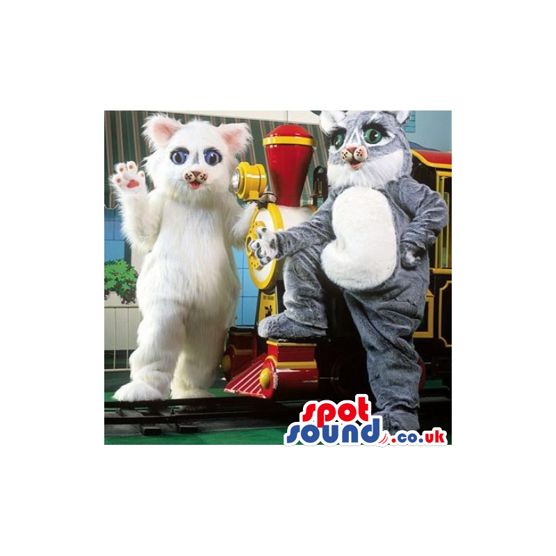 Two Cat Animal Mascots In White And Grey With Blue Eyes -