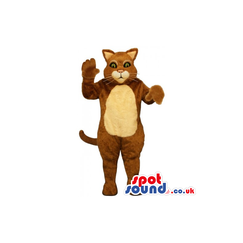 Customizable Brown Cat Animal Mascot With Beige Belly - Custom