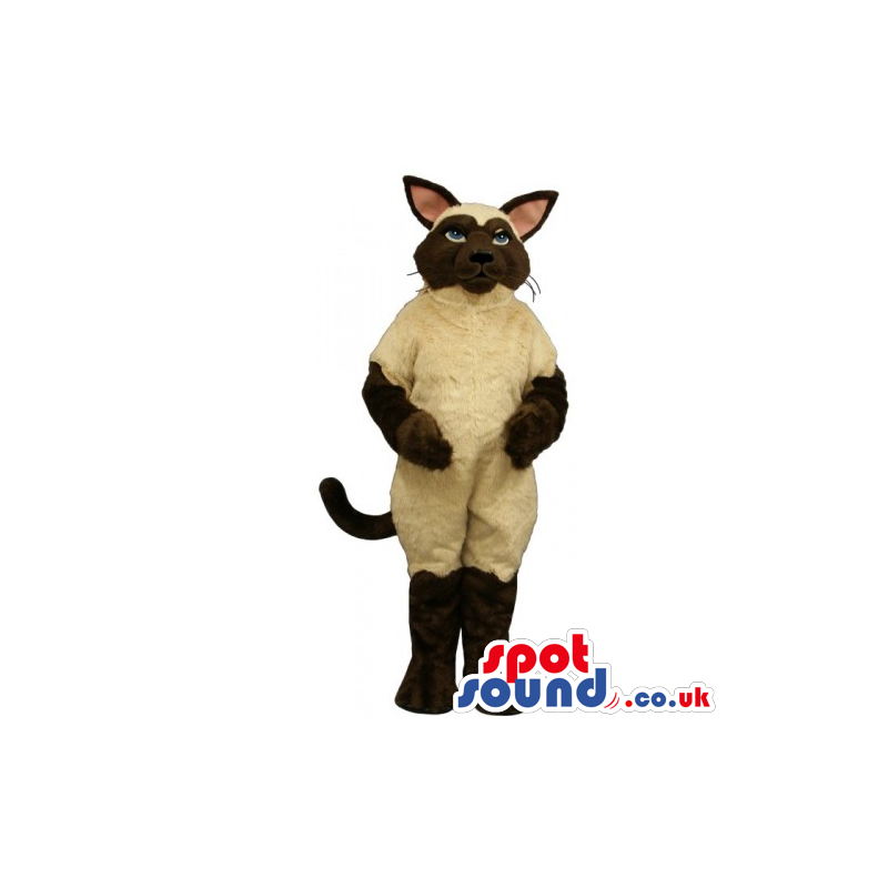 Customizable Siamese Breed Cat Animal Mascot With Beige Body -