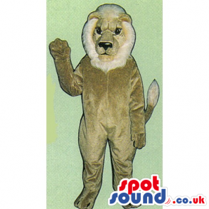 Customizable Plain Beige Lion Mascot With A White Beard -